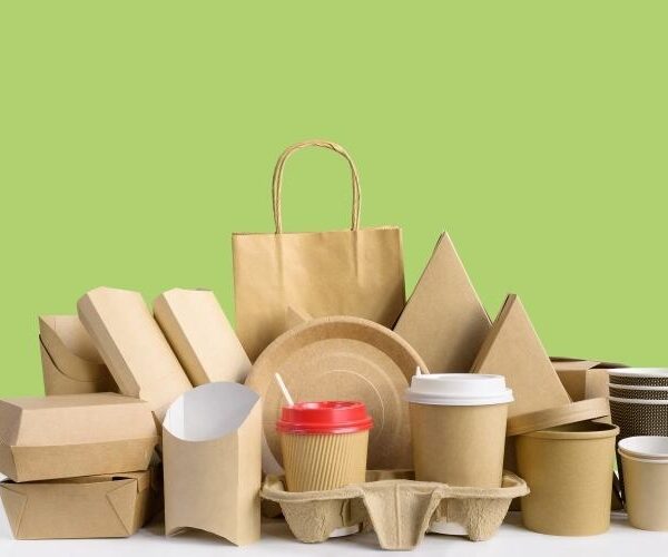 Slylar Box: The Tiny Tech Powerhouse Transforming Modern Living