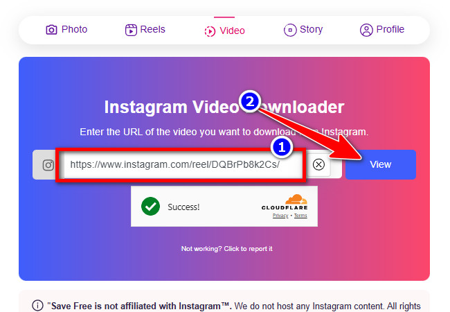 Instagram Reels Download Video
